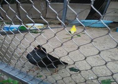 High Strength Bird Protection Mesh , Knotted Type Stainless Steel X Tend Mesh